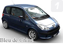 1007/Bleu de Chine